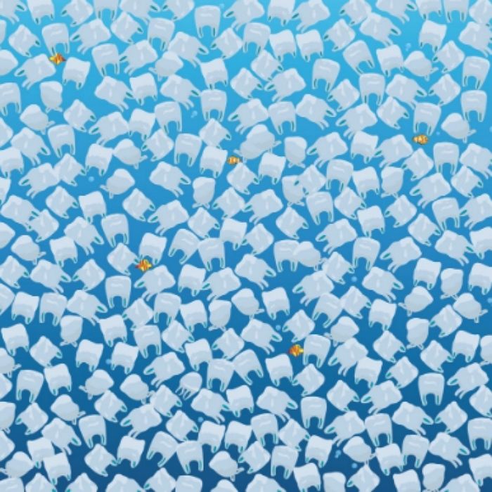 다음 그림 속 비닐봉지 사이 ‘해파리’ 10초 안에 찾으면 당신은 ‘눈썰미 천재’