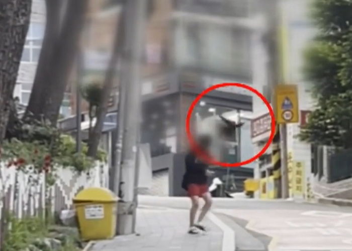 길거리 걸어가다가 난데없이 까마귀 공격받은 부산 시민들 (영상)