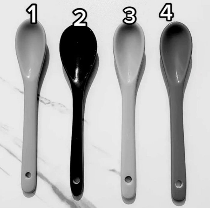 다음 흑백사진에서 ‘빨간색 숟가락’ 찾아내면 당신은 상위 3% ‘절대색감’이다