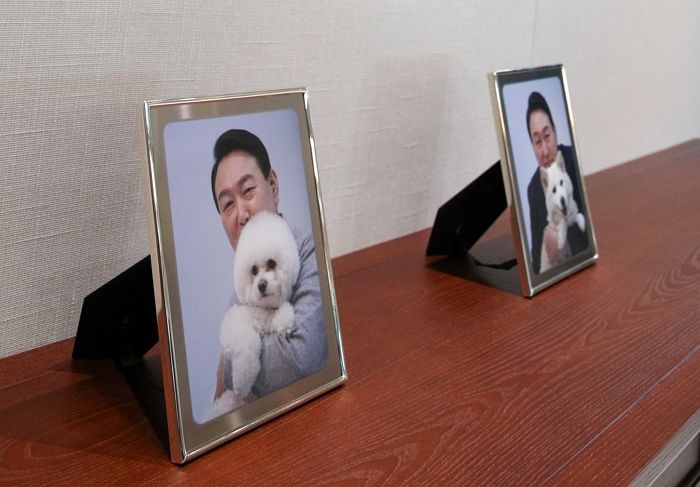 집무실에 반려견들 사진 갖다두고 일하는 ‘토리아빠’ 윤석열 대통령