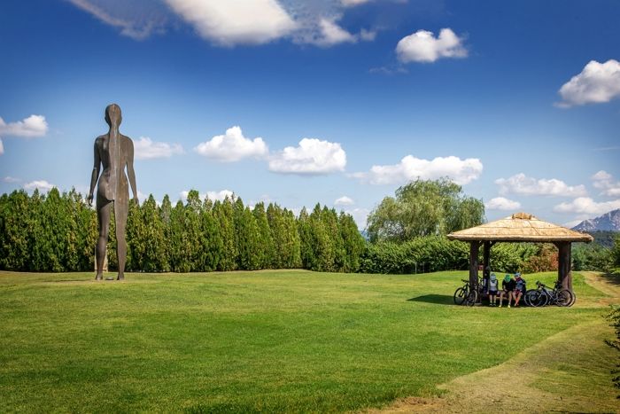 나무 700그루 사이서 ‘인생샷’ 남길 수 있는 ‘서울 데이트 필수 코스’ 상암 메타세쿼이아