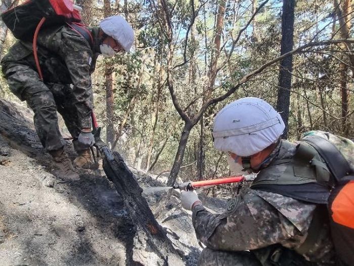 주말에도 휴무 포기하고 ‘울진 산불’ 잔불 제거한 육군 50사단 장병들