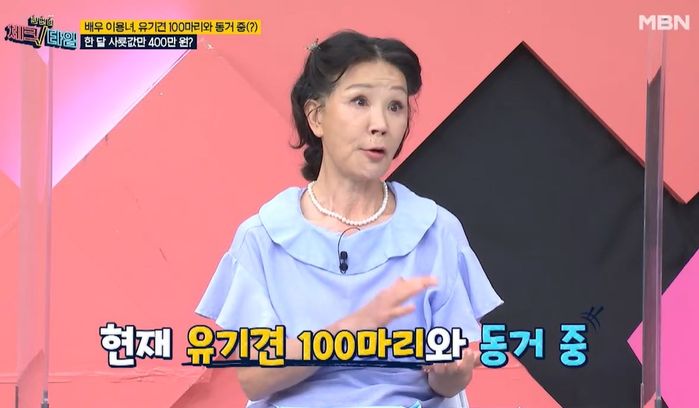 18년째 한 달 사룟값만 400만원씩 쓰면서 ‘유기견 100마리’ 키우는 이용녀 (영상)