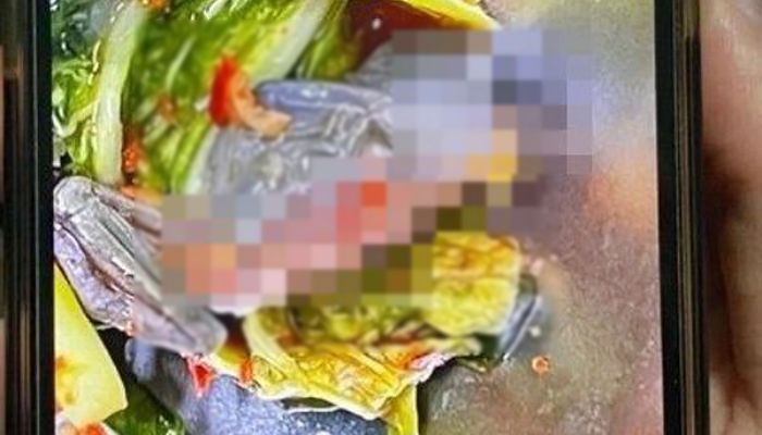 “학교 급식에 나온 열무김치서 ‘개구리 사체’가 나왔습니다”