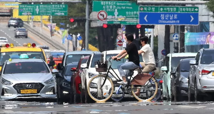 인사이트