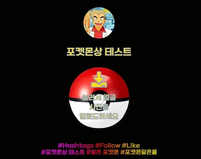 인사이트