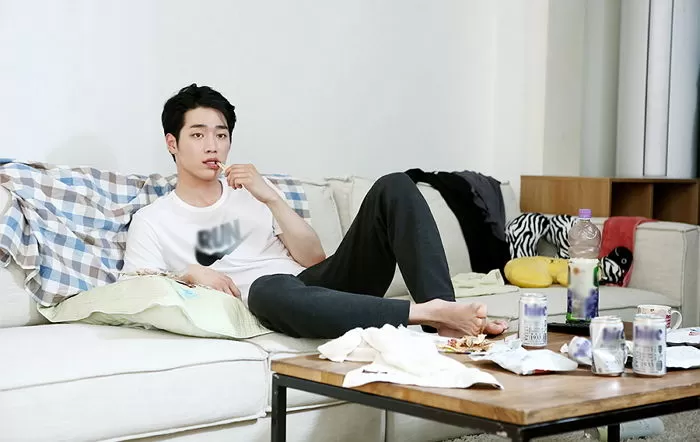 인사이트