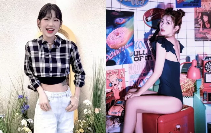 인사이트