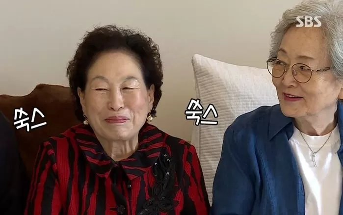 인사이트