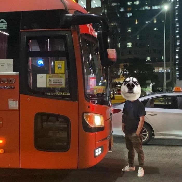 버스가 안 태워줬다고 강남 도로 한복판에서 20분 동안 ‘길막’한 남성