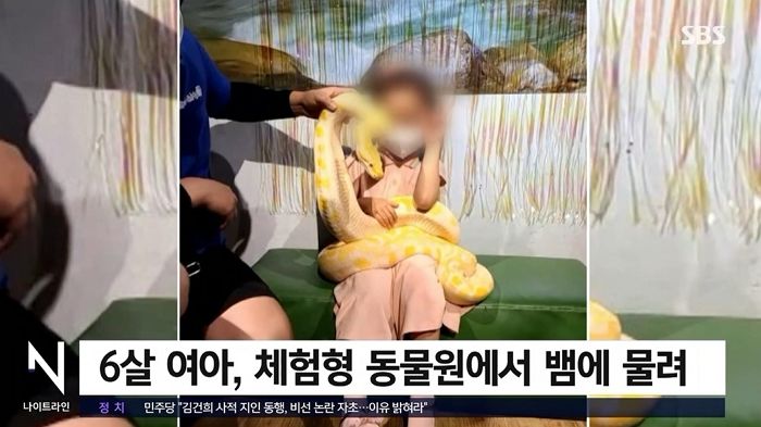 2m 뱀이 2분간 6살 아이 손 물어...대전 동물원 체험행사 아수라장 (영상)