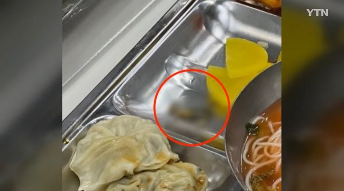 고등학교 급식으로 나온 열무김치에서 또다시 ‘개구리 사체’ 발견