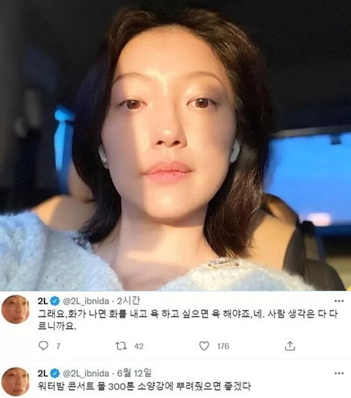 이엘 ‘싸이 흠뻑쇼’ 발언 논란에 민주당 국회의원이 남긴 글