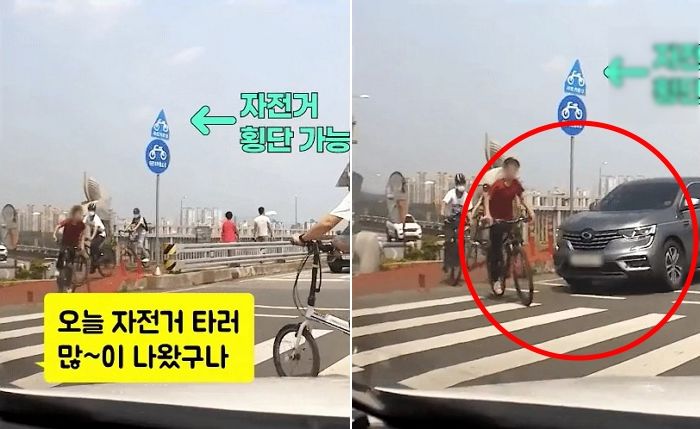 “수다 떨다 못 봤구만”...‘신호위반’하고 길 건너는 자전거 들이받은 여성 운전자
