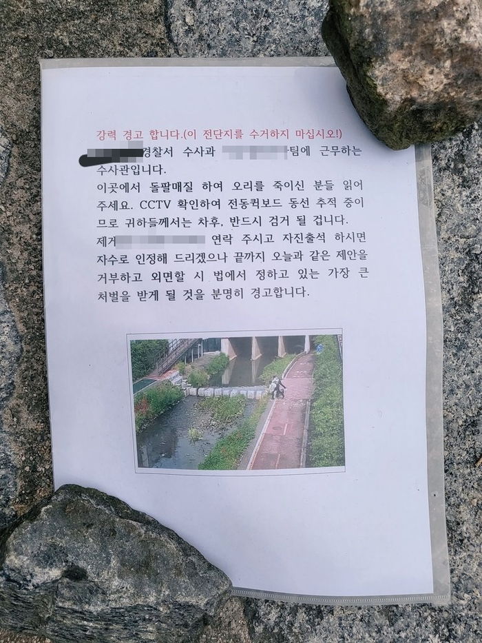 집 앞 산책로에 사는 아기 오리 가족 찾으러 나왔던 부녀를 울린 ‘수배 전단지’