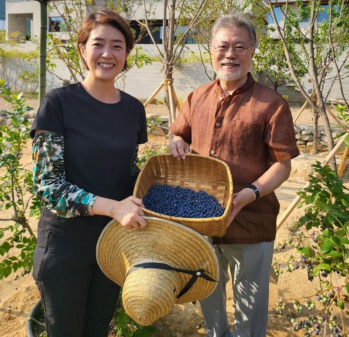 문재인 사저 찾아간 고민정 “매일 욕설 들으니 블루베리 열매 작더라”