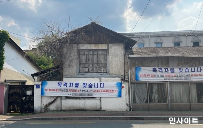 주황빛 꽃 흐드러지게 피어나 50년간 대구 경산 마을 상징이던 ‘능소화 나무’ 절단한 테러범