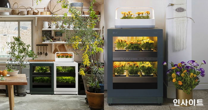 LG 틔운, 연암대와 다양한 씨앗 키트 개발한다