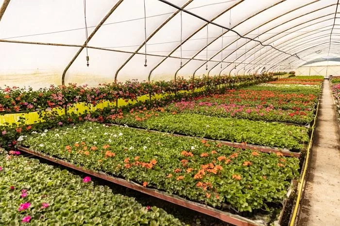 화훼농원 실습 나온 20대 대학생 거름 기계에 끼여 숨져