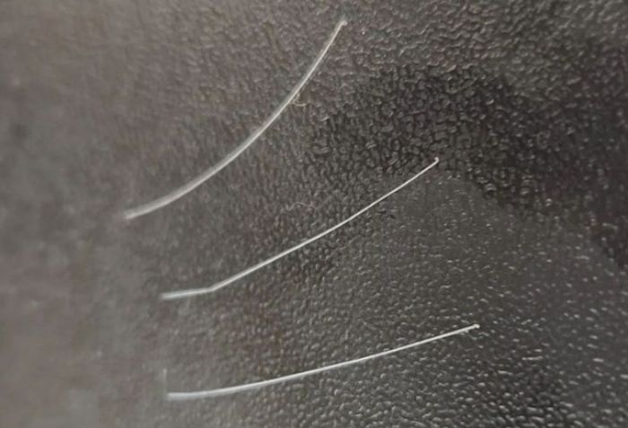 “이런 경우는 처음”...흰머리 3가닥 뽑았다고 SNS에 글 올린 이준석 대표