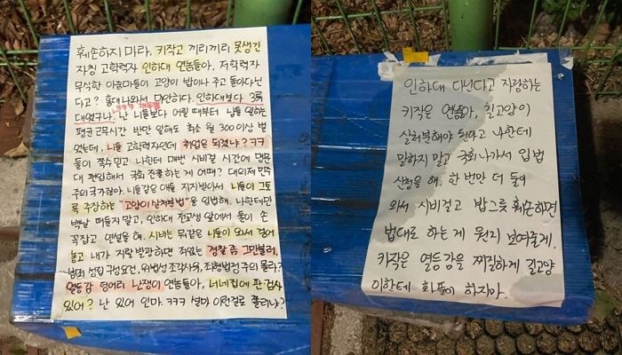 “그 대학 나와 취업은 되겠어?”... 고양이 밥그릇 치운 인하대생들 비하한 캣맘