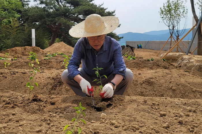 文 “메밀밭에 메밀꽃 피어나”...직접 일군 메밀밭 사진 올려