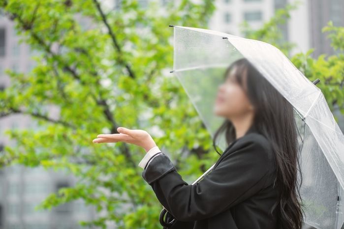 장마철 여행갈 때 네이버·카카오 지도 앱으로 비 오는지 확인하는 방법