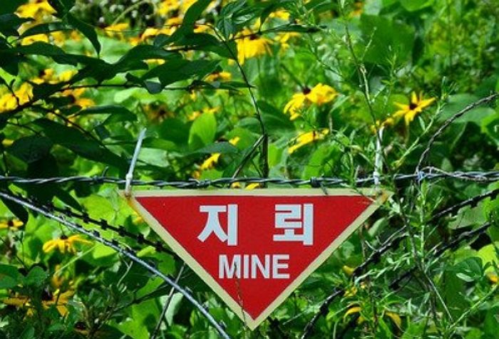 강원 철원서 대전차지뢰 폭발 추정 사고...민간인 1명 숨져