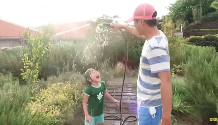 인사이트