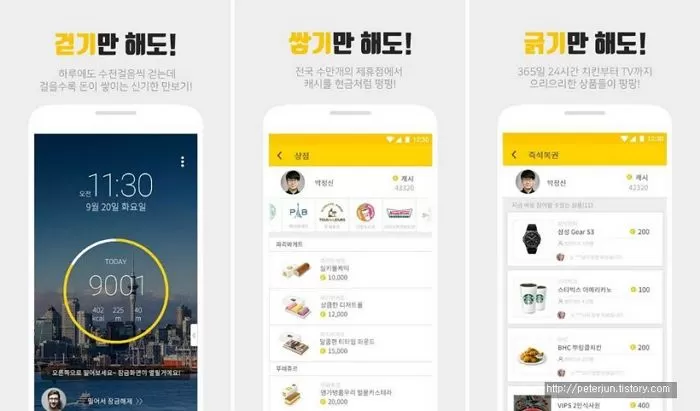 인사이트