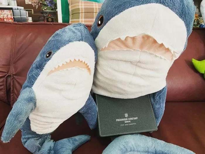 인사이트