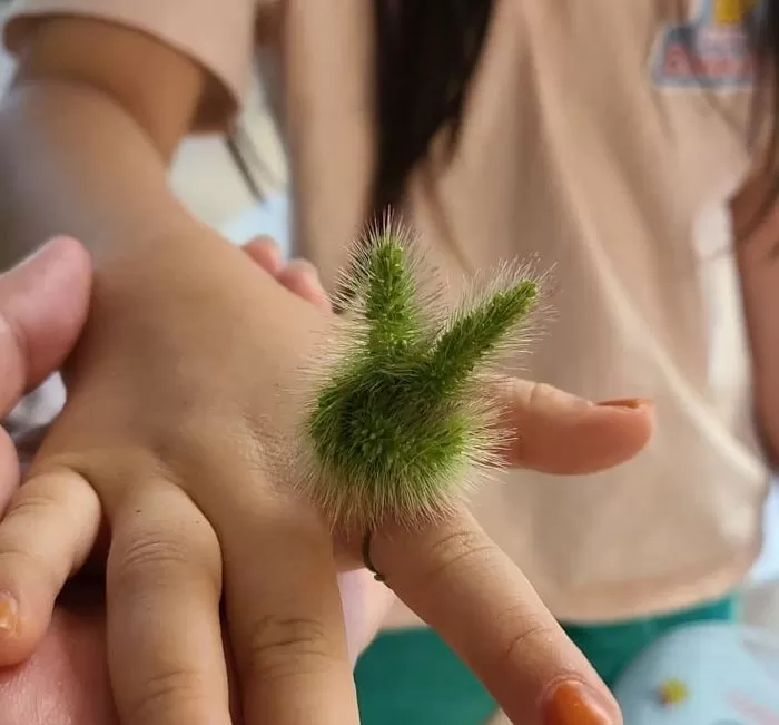 인사이트