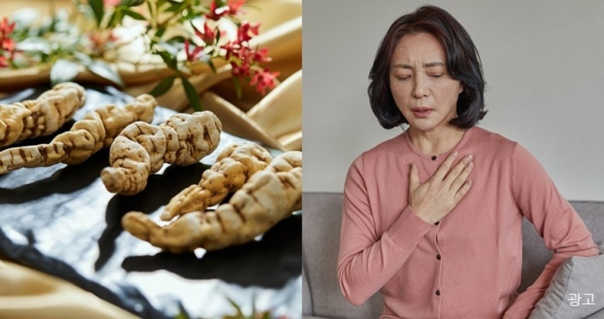 에어컨도 소용없는 우리 엄마 극한 더위 ‘이것’ 하나면 싹 해결된다