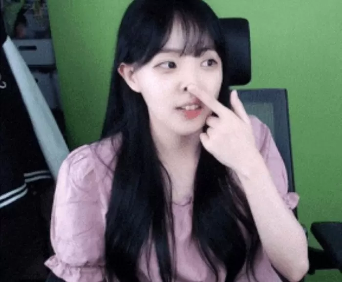 인사이트