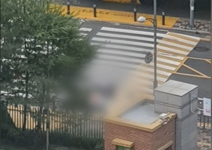 스쿨존 횡단보도서 굴착기에 치여 숨진 초등생...경찰 “민식이법 적용 검토”