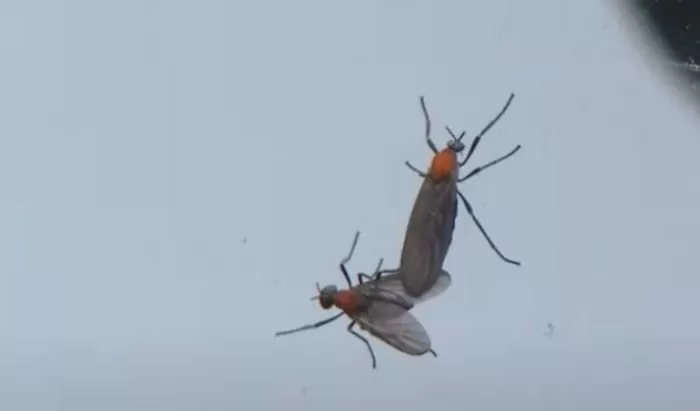 인사이트