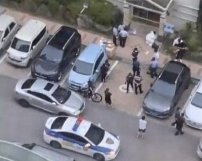 아파트 엘리베이터서 여자 초등생 흉기로 찌르고 달아난 10대 남고생 투신해 사망