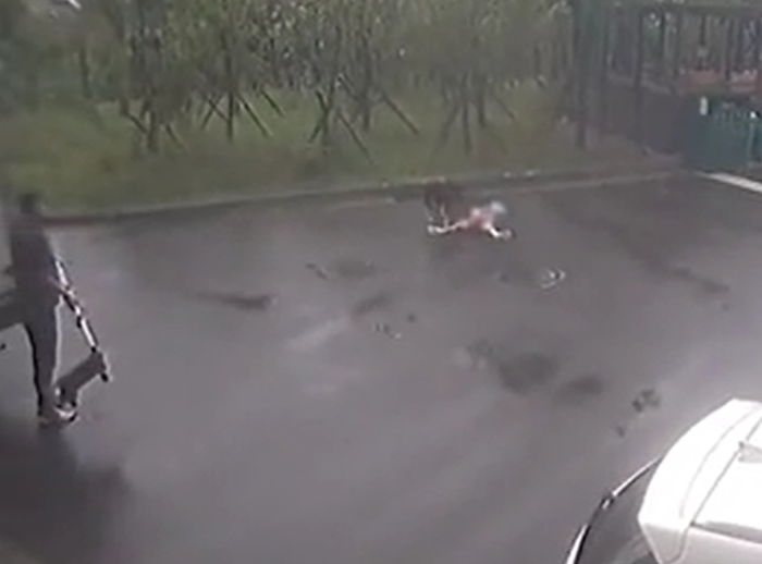 아파트서 목줄 없는 개에 사냥 당한 초등생 살린 택배기사