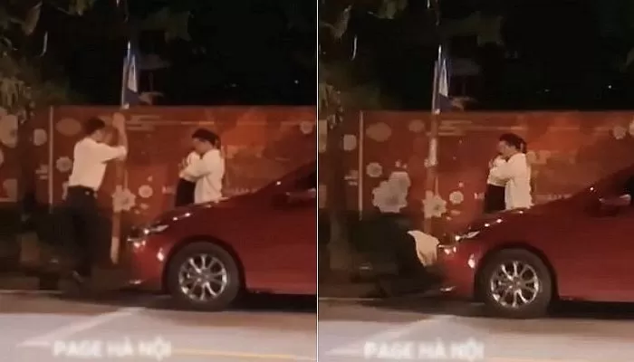 인사이트