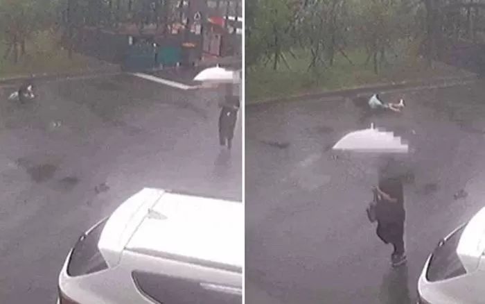 8살 아이 목·팔다리 2분간 공격한 개, 결국 ‘안락사’ 된다