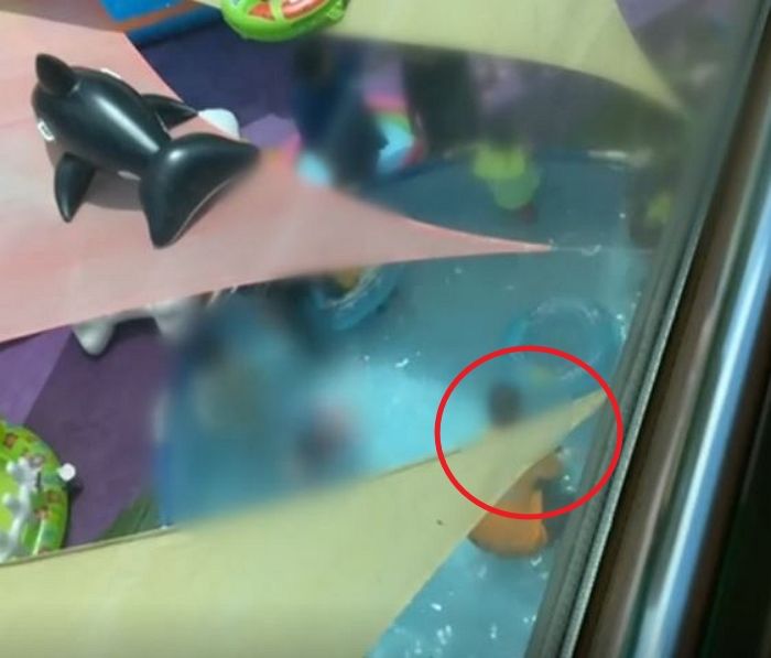 아이들 목덜미 잡아 수영장에 ‘강제 입수’ 시키는 어린이집 교사들 (영상)