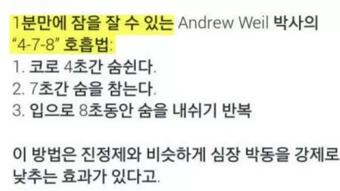 인사이트