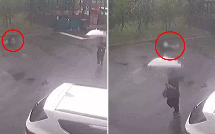 “안락사 해결법 아냐” vs “영상 보고도 그소리 나오나”...8살 아이 문 사고견 처분 논쟁