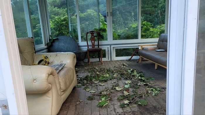 1박에 18만 원 펜션 위생 상태에 경악...환불 요구했더니 ‘법적 조치’