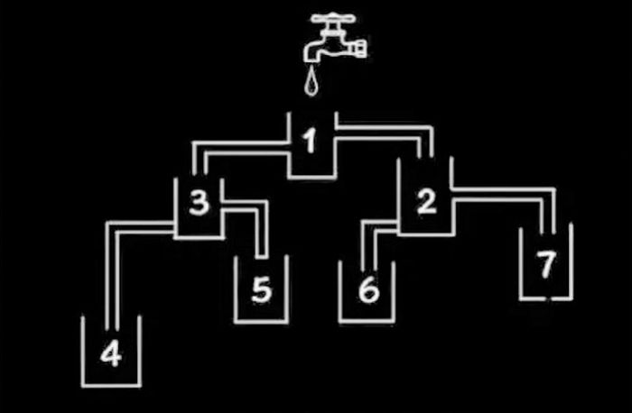“가장 먼저 물이 가득 채워지는 컵은?”...정답률 단 1%라는 눈썰미 테스트