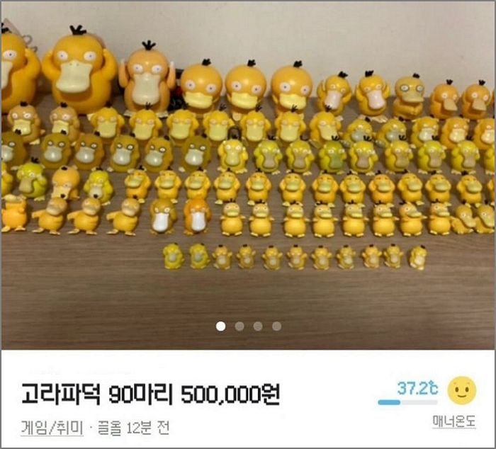 고라파덕만 ‘90마리’ 모았는데, 오리너구리인 거 알고 실망해 싹 팔아버린 ‘고라파덕 성애자’