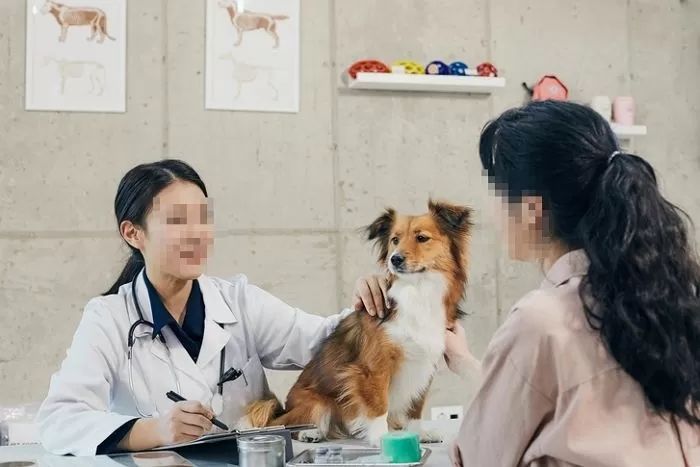 정부, 이제 ‘동물학대범’ 애완동물 못 키우게 한다