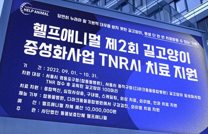 길냥이 100마리 중성화 수술비 지원하는 ‘헬프애니멀’