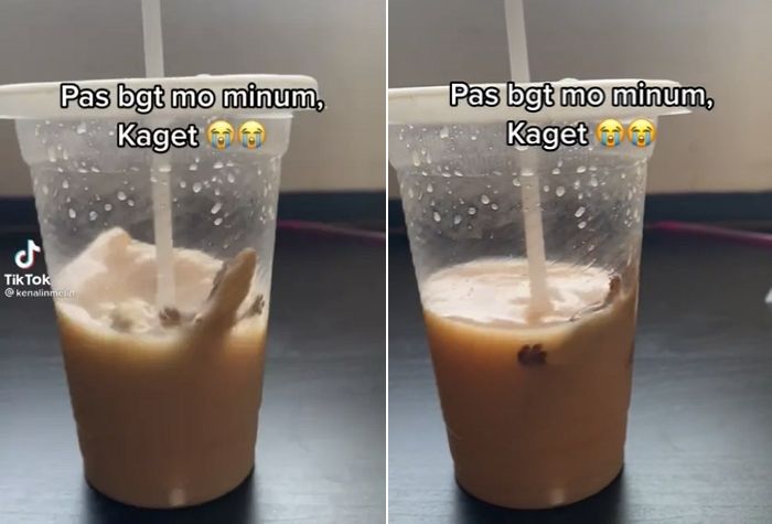 “밀크티 절반 마셨더니 살아있는 도마뱀이 헤엄치고 있었습니다”