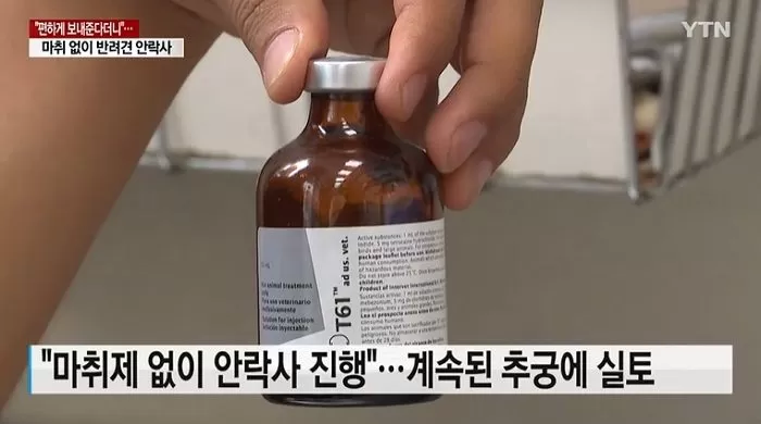 마취 과정 생략하고 고통 주는 약물 주입해 애완견 안락사시킨 동물병원